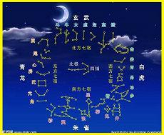 属相为羊男生戴什么(生肖爱情属相)