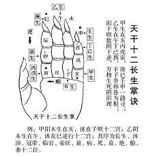  院字的五行属什么五行传统文化取名(洗涤心灵的女子名字!给人大方简单的印象)